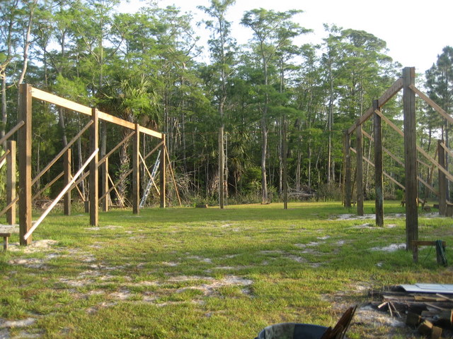readyfortrusses.jpg