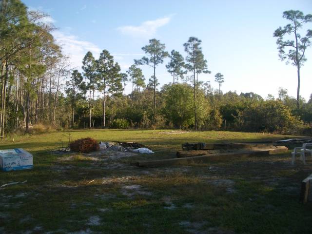 site.jpg